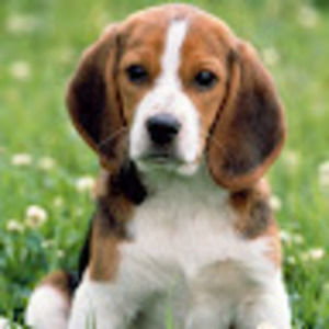 Meet your Posher, Kathie